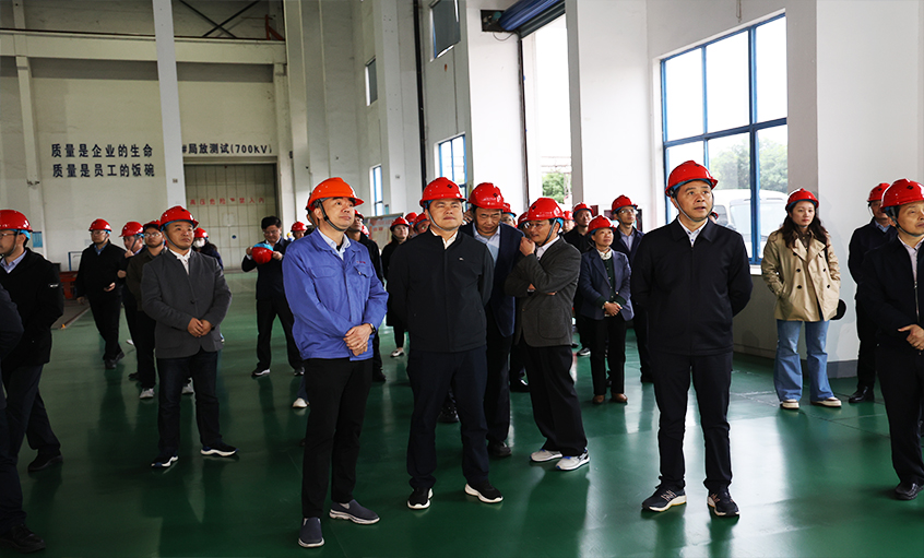 安徽池州青阳县党政代表团一行来Z6尊龙凯时电缆调查