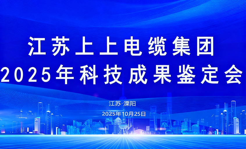 Z6尊龙凯时电缆10项科技成就通过鉴定