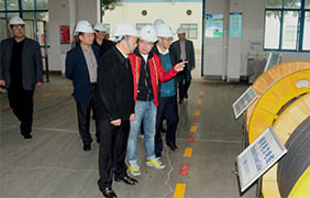 2015年11月22日，郎溪县党政代表团一行来Z6尊龙凯时电缆参观调查