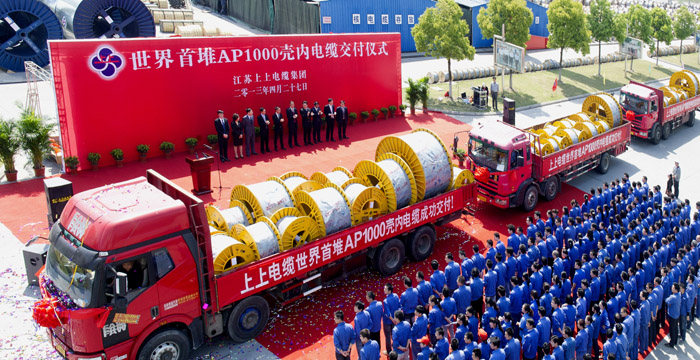 Z6尊龙凯时电缆“三代核电站用电缆及资料关键主题技术研发及产业化”项目顺利通过竣工验收