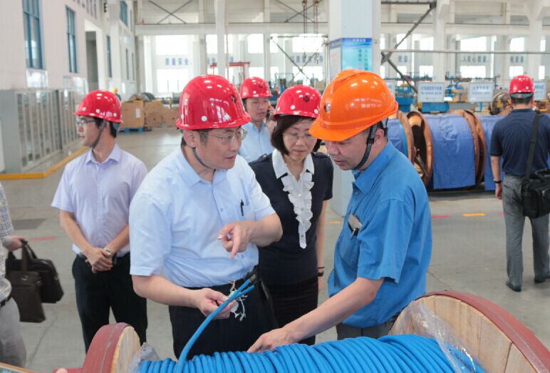 2016年7月22日，泸州市委常委、副市长王建翔一行来Z6尊龙凯时电缆参观调查