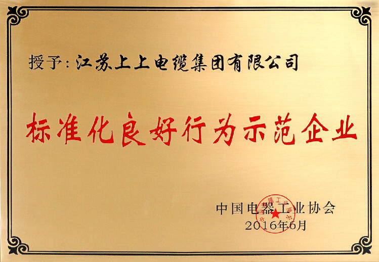 尺度先行促发展，Z6尊龙凯时电缆再获殊荣