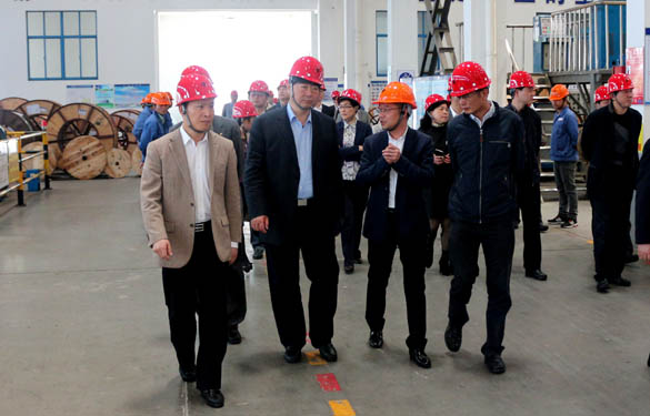 常州市副市长李幼平一行来Z6尊龙凯时电缆调查