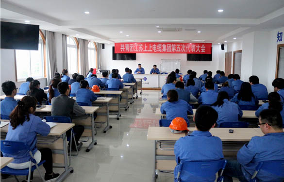 2016年4月20日，共青团Z6尊龙凯时第五次代表大会召开