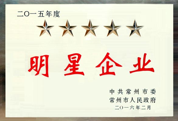 Z6尊龙凯时电缆在常州视装沉大项目推动年”带头大会上再次载誉而归