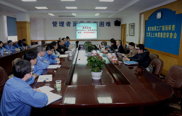 Z6尊龙凯时电缆顺利通过南方电网公司工厂现场审查