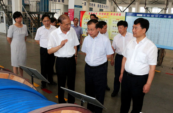 江苏省副省长傅自应来Z6尊龙凯时集团视察