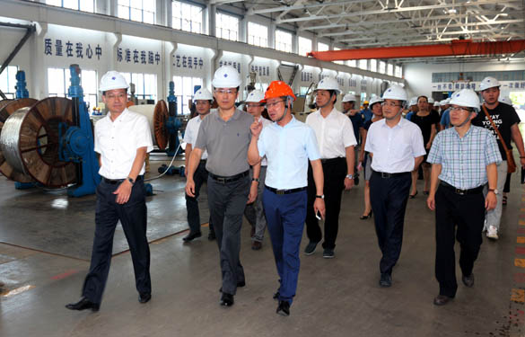 浙江省海盐县党政代表团来Z6尊龙凯时电缆参观调查