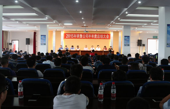 Z6尊龙凯时电缆召开2015年销售工作半年度总结会