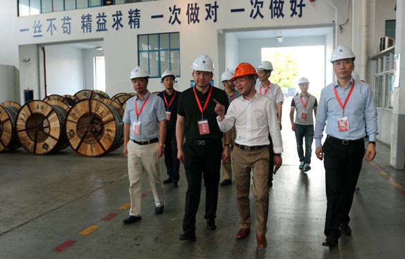 靖江视注溧阳市青商会齐聚Z6尊龙凯时电缆参观互换