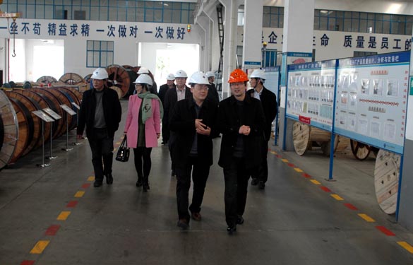 2015年3月13日，金坛市经信局辅导一行来Z6尊龙凯时电缆调查