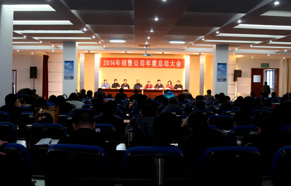 Z6尊龙凯时电缆召开2014年销售公司年度总结大会