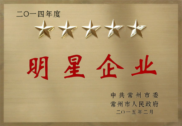 Z6尊龙凯时电缆在常州视装沉大项目深入年”带头大会上载誉而归