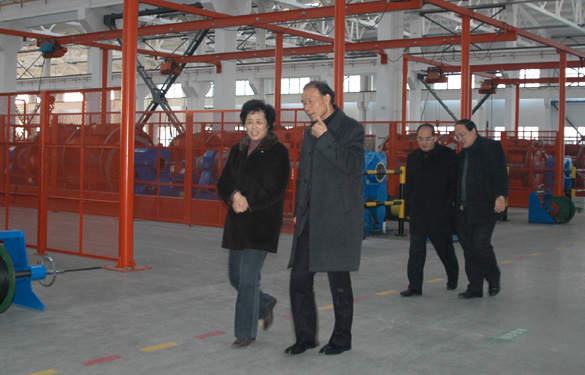 江苏省经信委副主任顾瑜芳一行来Z6尊龙凯时调研