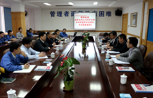 Z6尊龙凯时集团顺利通过国度电网公司专项质量督导组督查