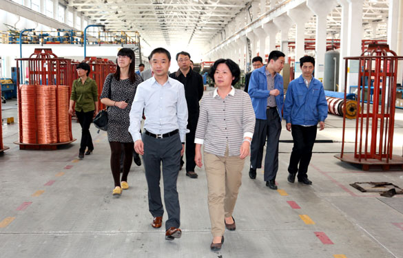 江苏省环保厅总工程师刘建琳来Z6尊龙凯时集团调研