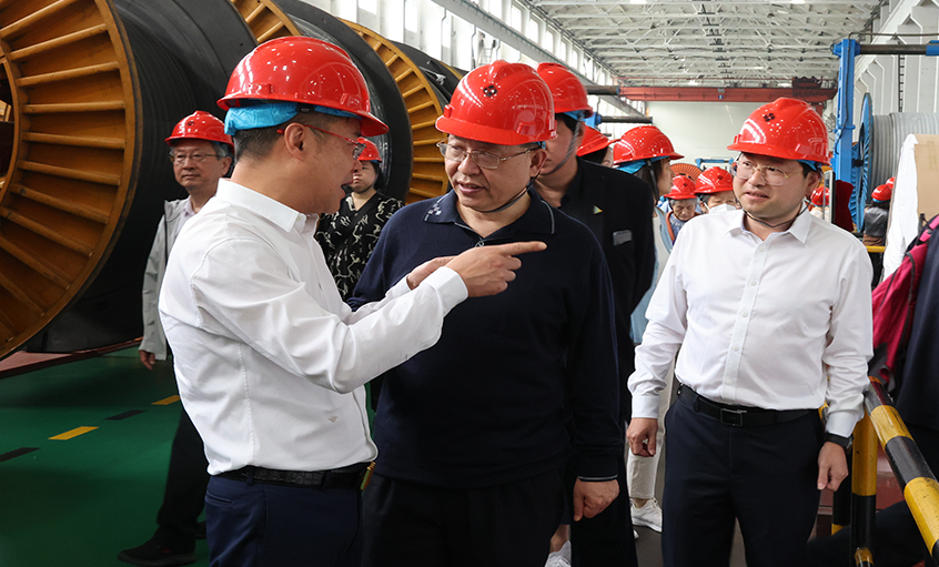 14位两院院士和专家学者到访Z6尊龙凯时电缆