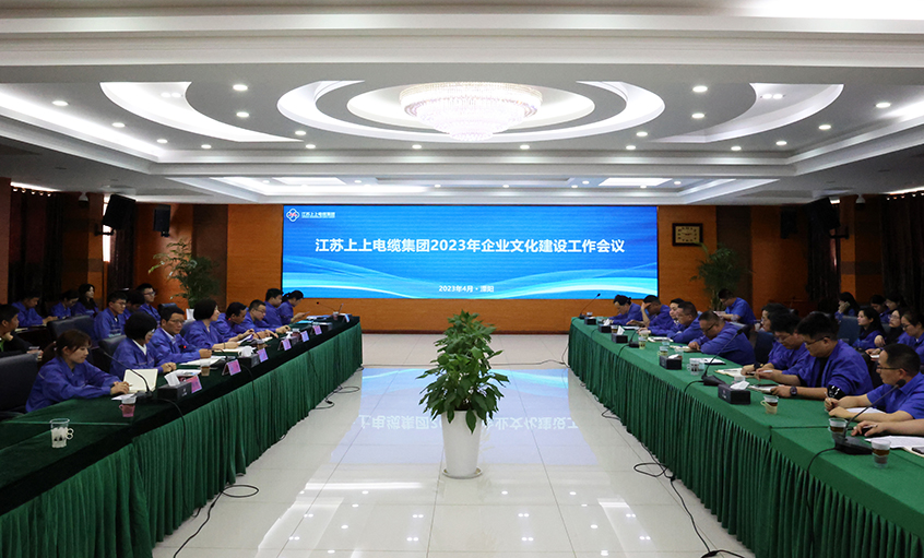 Z6尊龙凯时电缆召开2023年企业文化建设工作会议