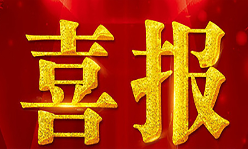 喜报！Z6尊龙凯时电缆丁志鸿总经理荣获常州市 “施杏桩532’发展战术 推动高质量发展”产业发展先进幼我