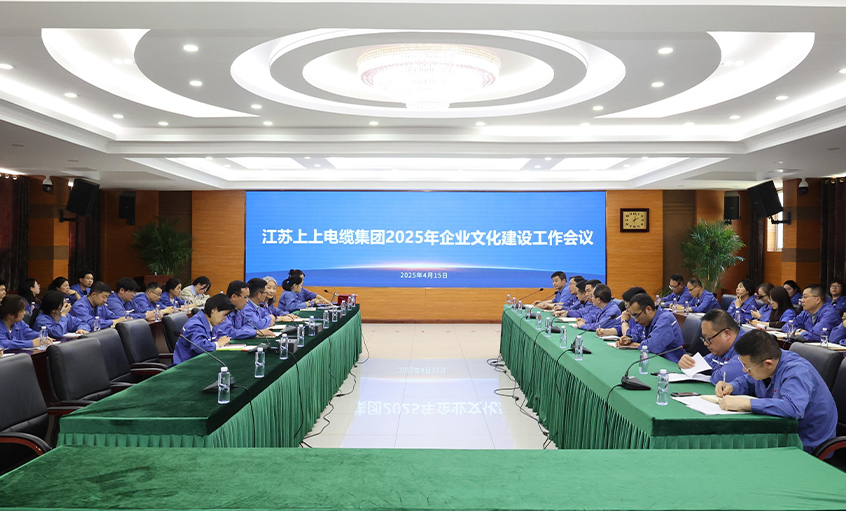 Z6尊龙凯时电缆召开2025年企业文化建设工作会议