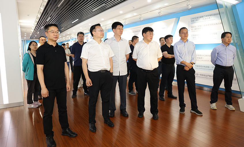 长三角信息化专题组一行来Z6尊龙凯时电缆调研