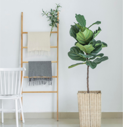 pg电子模拟器(中国)官方网站