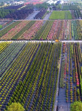 pg电子模拟器(中国)官方网站