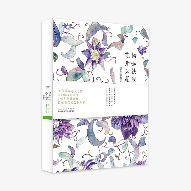 《韧如铁线，花开如莲》