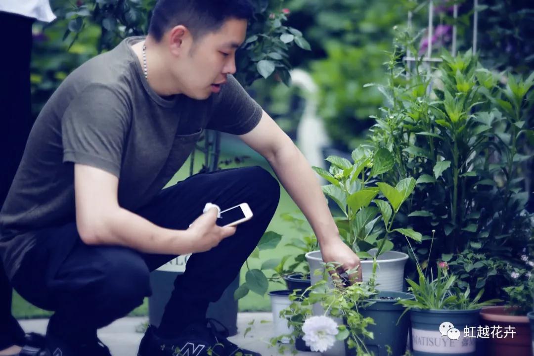 史上最硬核花园主，是怎样拿下三年绣球比美冠军的？