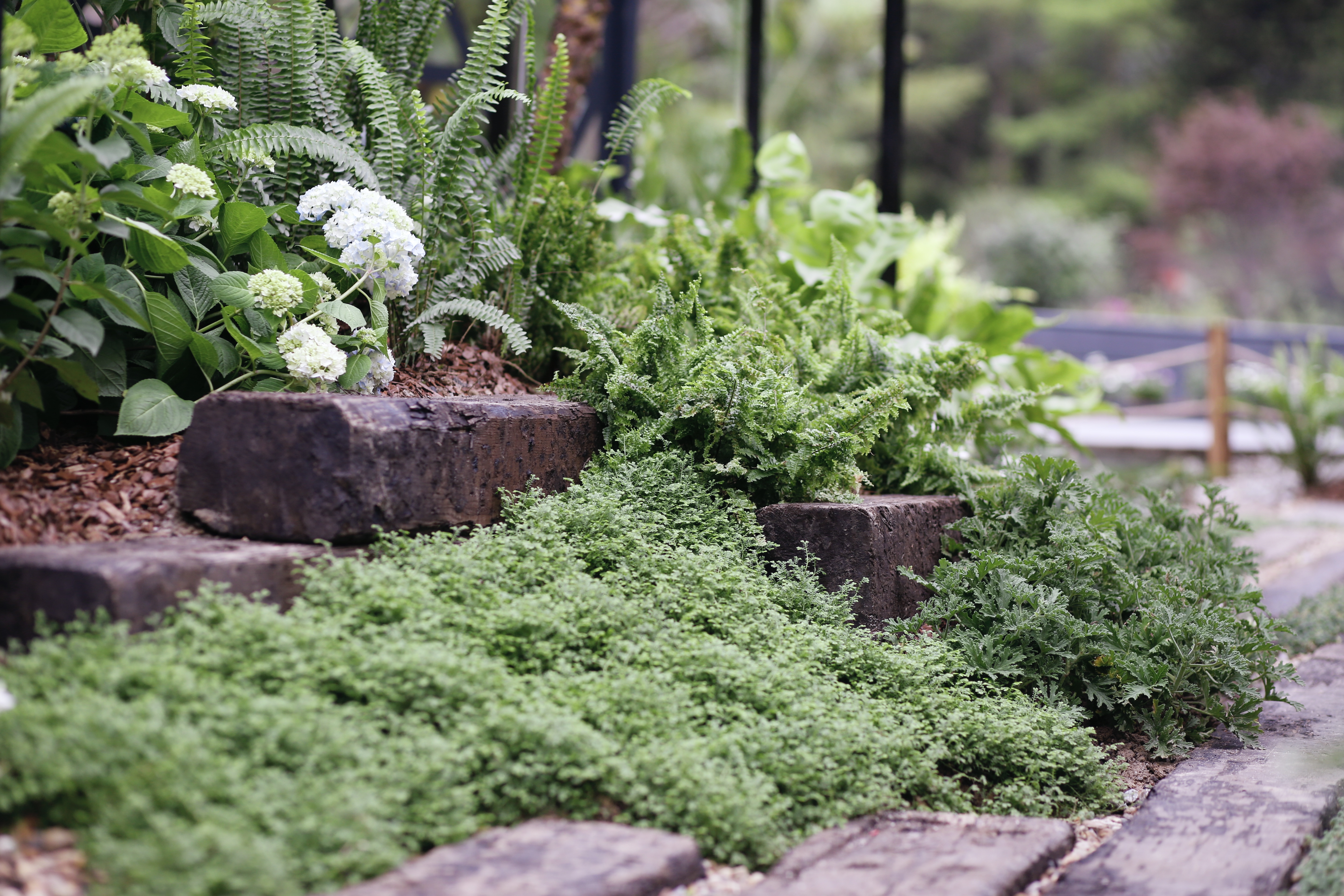 8座刷爆朋侪圈的国际设计师花园，翻开生涯新方法！