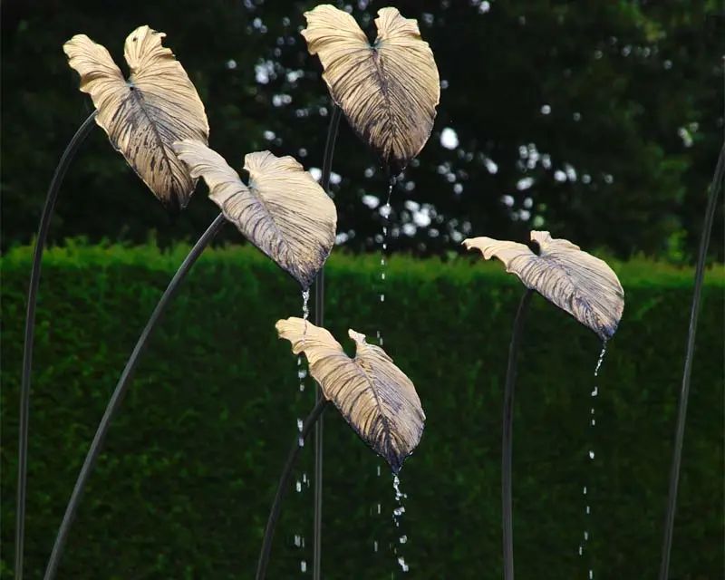 最可爱的百年墟落花园！传承三代，熠熠生辉