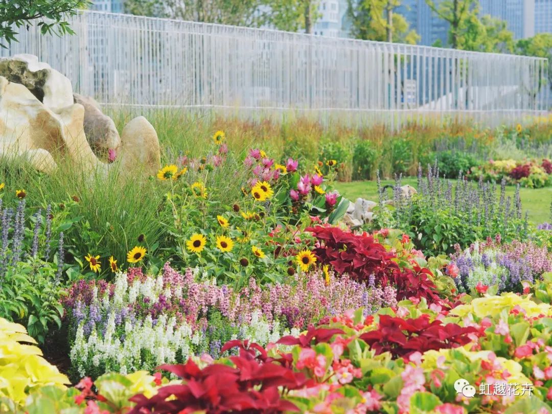 70000+㎡低维护油画风花境！pg电子的亚运景观刷新事实有多绝？