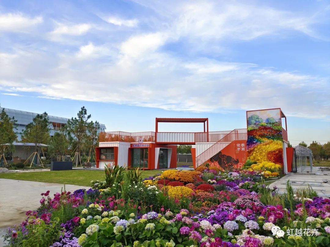 我们在乌镇带来了一场花花盛宴，华美壮丽如秋天油画！