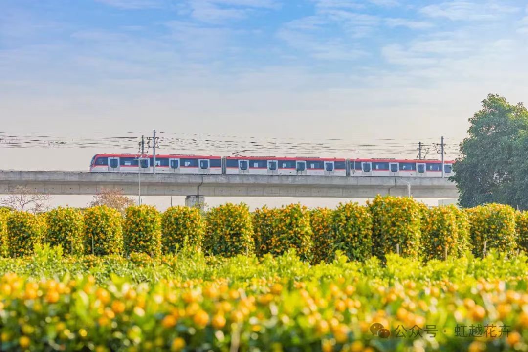 3月又有新花展！尚有园艺大咖齐聚，解锁漂亮生涯新方法